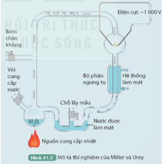 BÀI 51: SỰ PHÁT SINH VÀ PHÁT TRIỂN SỰ SỐNG TRÊN TRÁI ĐẤT